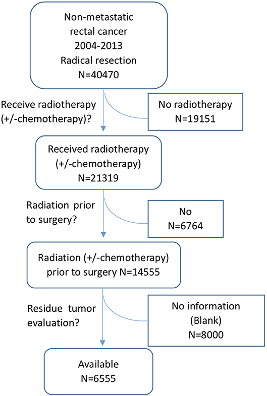Frontiers | Predictors and Risk Factors of Pathologic