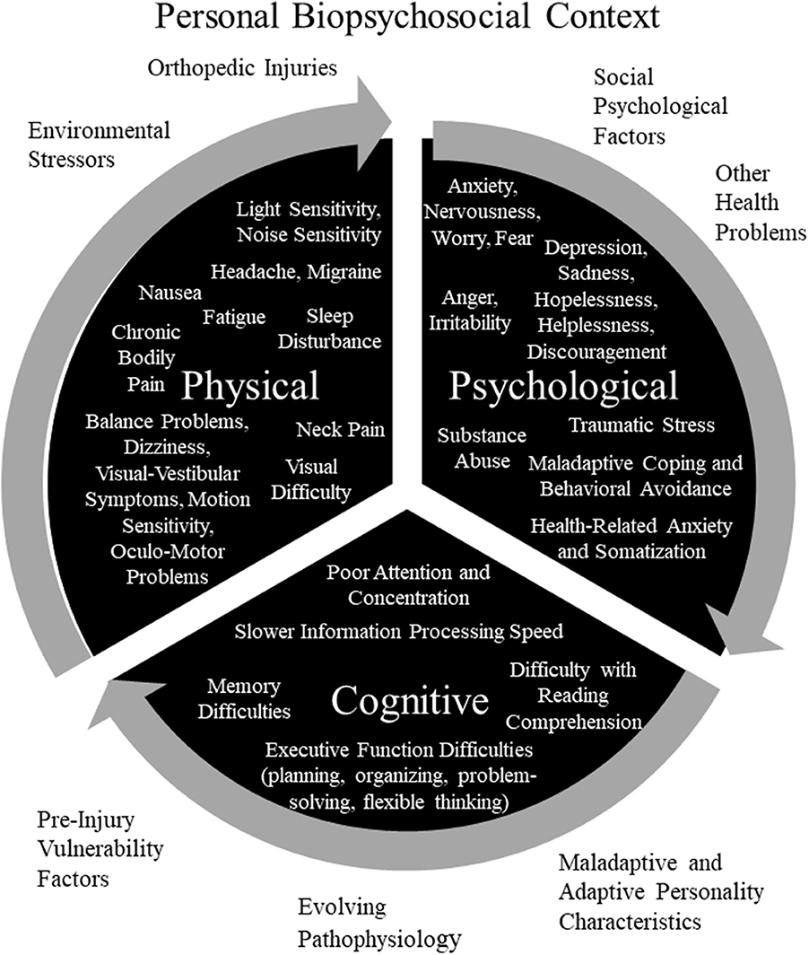 Frontiers | Network Analysis and Precision Rehabilitation