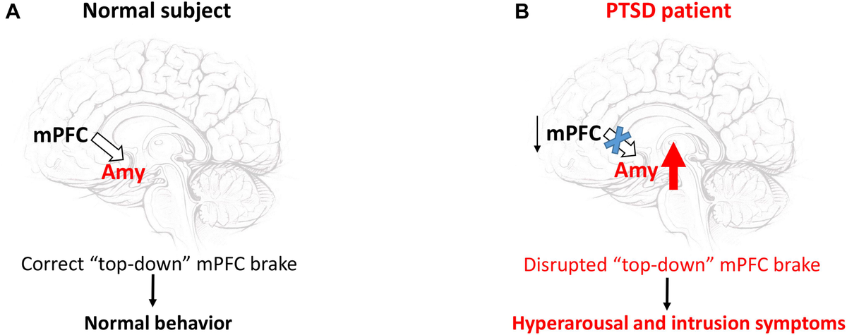 Frontiers | Therapeutic Challenges of Post-traumatic Stress