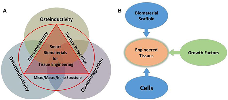 Frontiers | State-of-Art Functional Biomaterials for Tissue