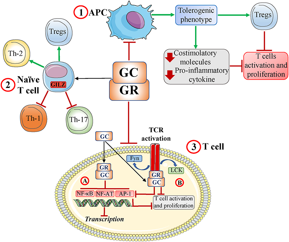 健康・医学 Receptor Based Solutions Receptor Based Solutions; Functional Neurology Every Doctor