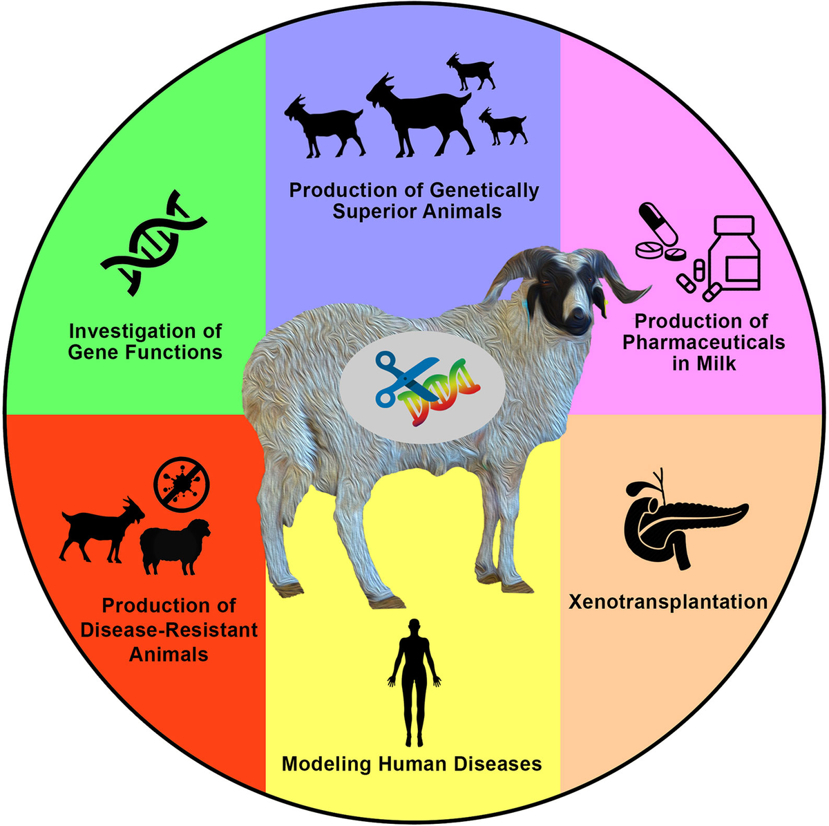 Application of the Nicoya OpenSPR to Studies of Biomolecular