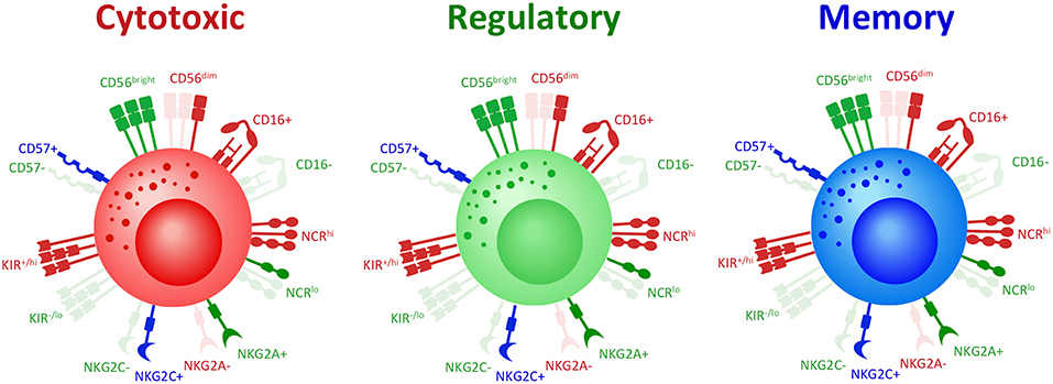 OKCAT テギョン　MBTI CD maxresdefault.jpg