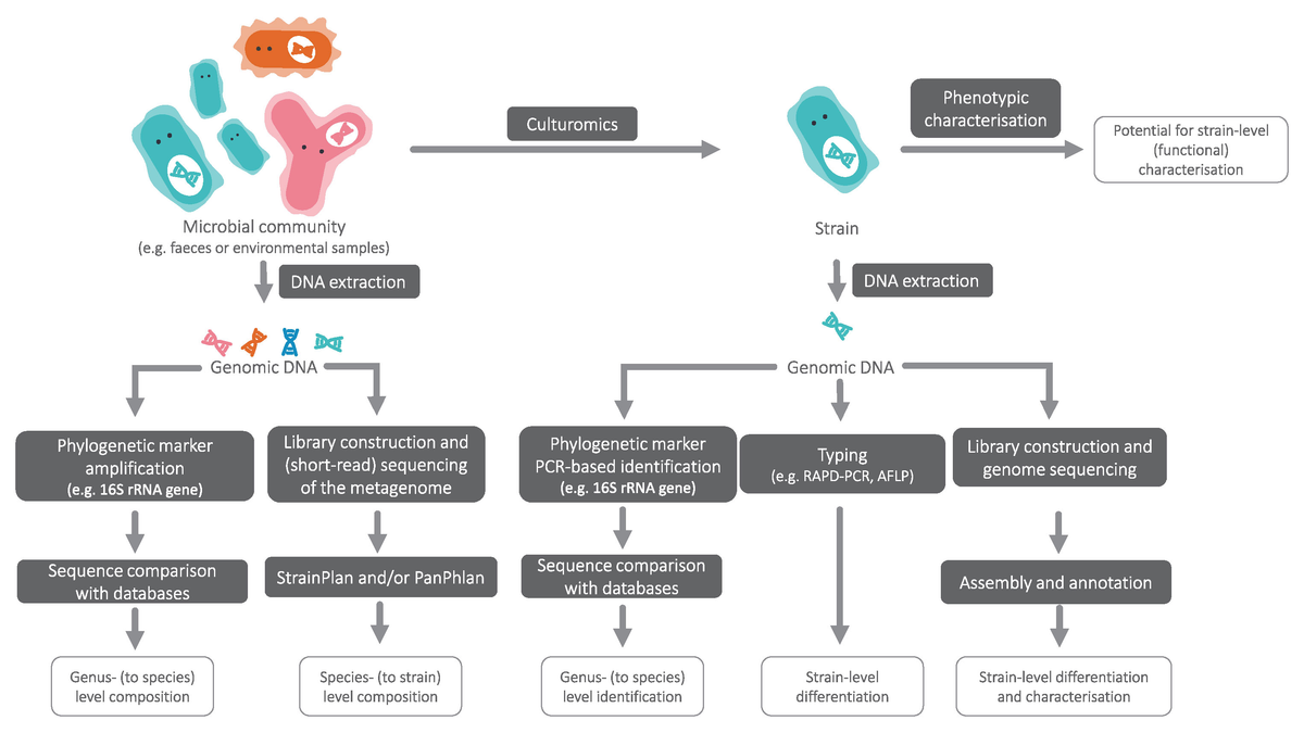 Frontiers On the Role of Bioinformatics and Data Science in Frontiers On the Role of Bioinformatics and Data Science in