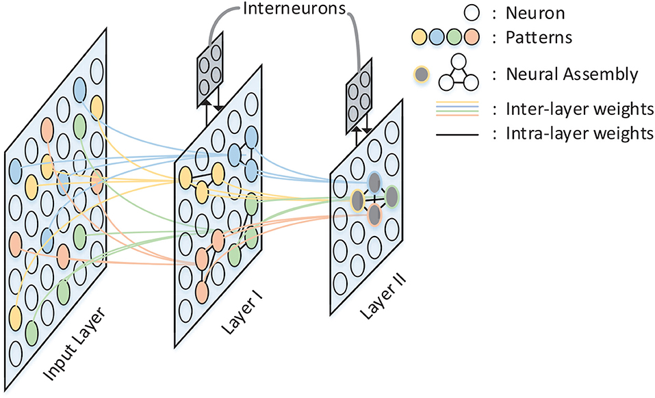 Frontiers | A Hardware Implementation of SNN-Based Spatio-Temporal ...