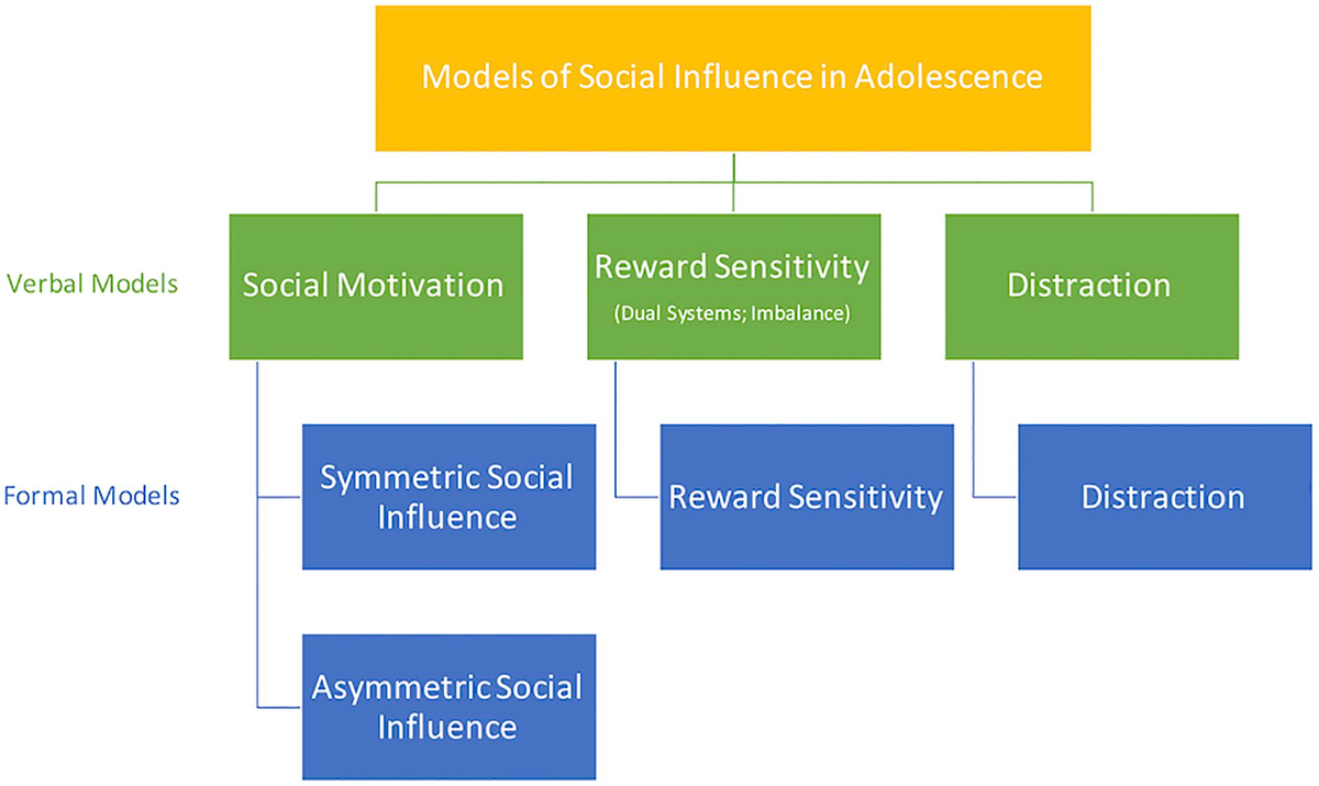 Frontiers | Social Influence in Adolescent Decision-Making: A 