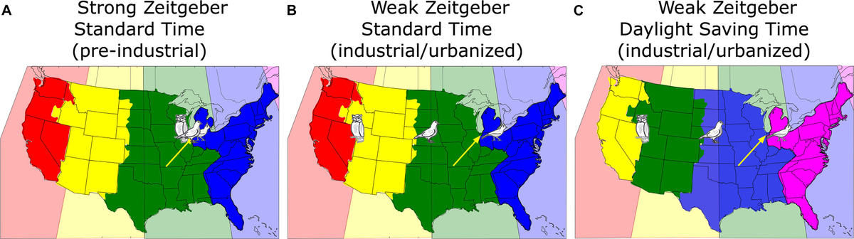 Daylight Saving Time and Artificial Time Zones – A Battle Between ...
