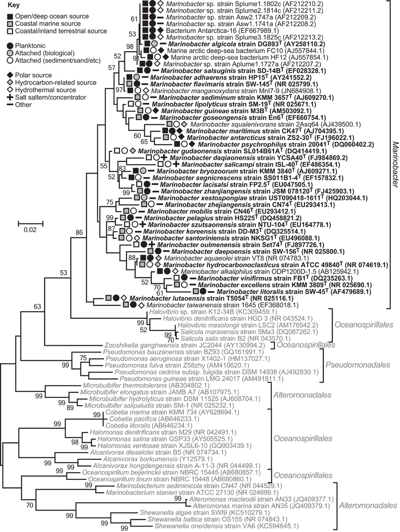 Frontiers | Biogeochemical implications of the ubiquitous