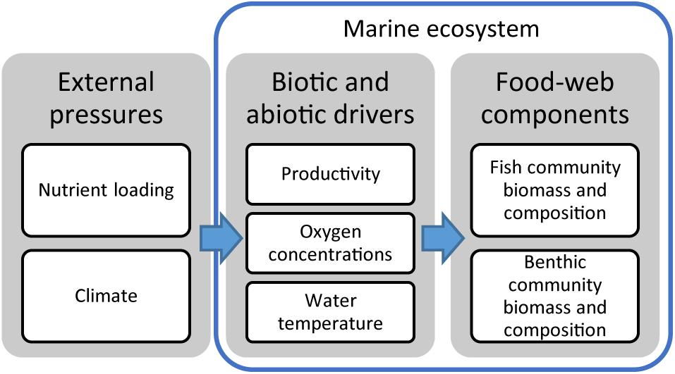 Combined Effects of Environmental Drivers on Marine Trophic Biology Diagrams