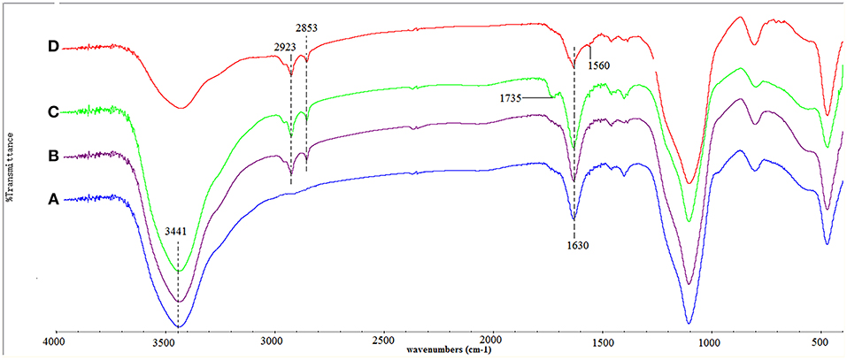 fchem-07-00577-g001.jpg