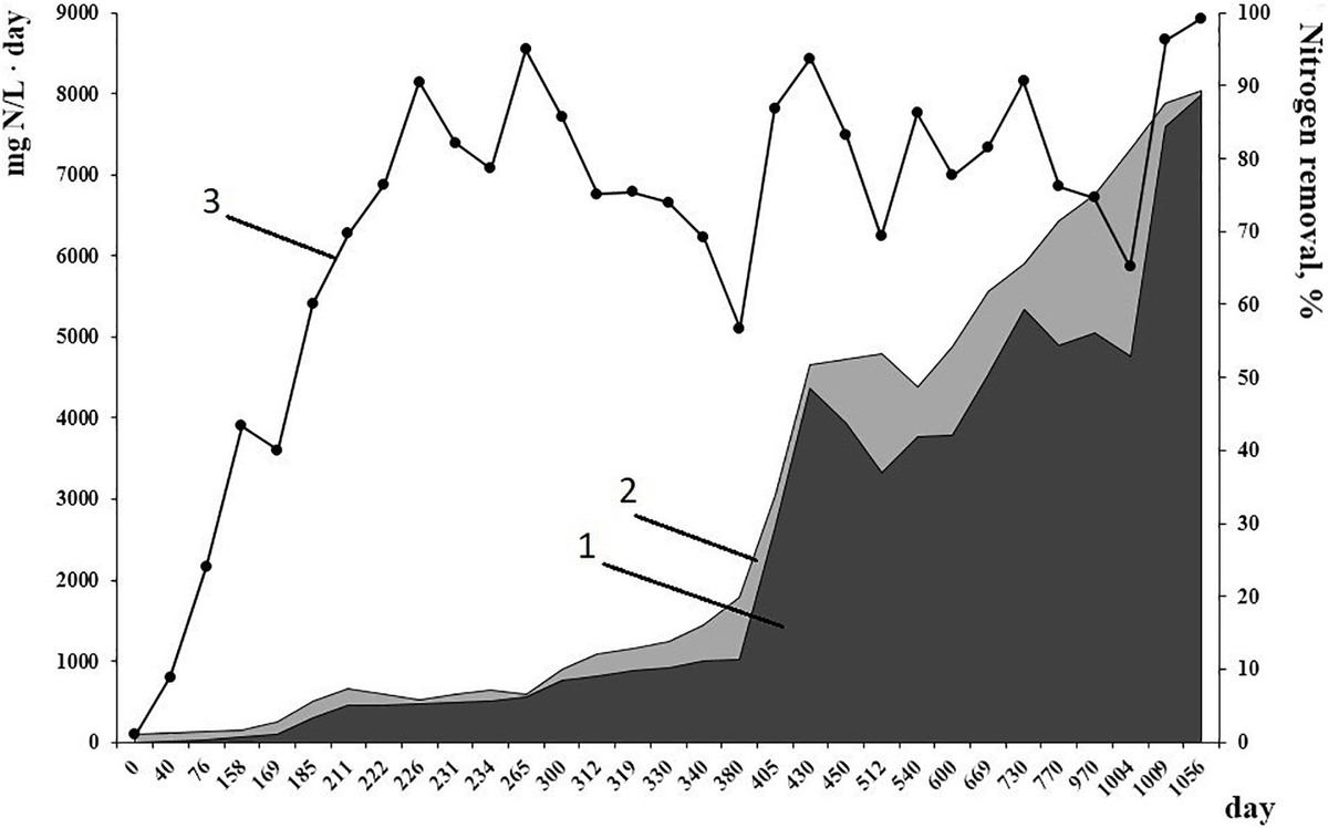 Frontiers | Genome of a Novel Bacterium “Candidatus Jettenia