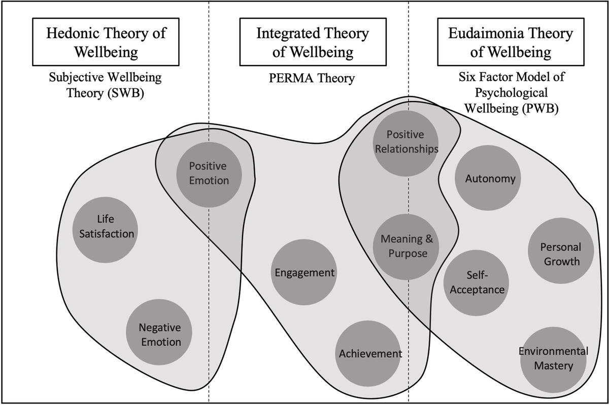 Frontiers | Building Wellbeing in People With Chronic