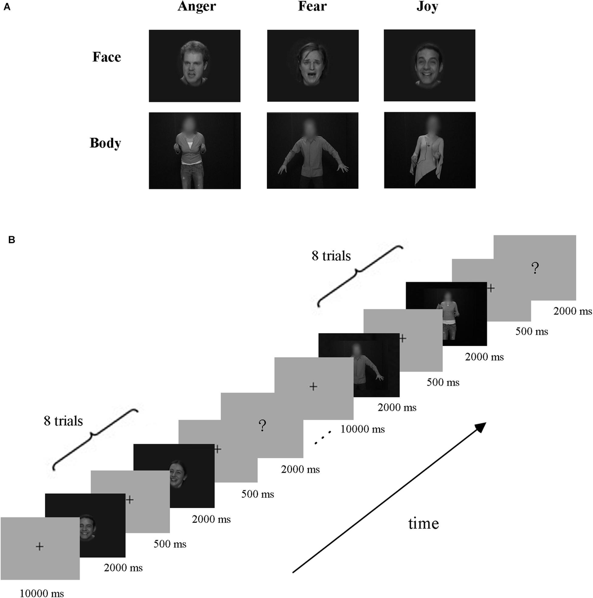 Frontiers | Network Representations of Facial and Bodily