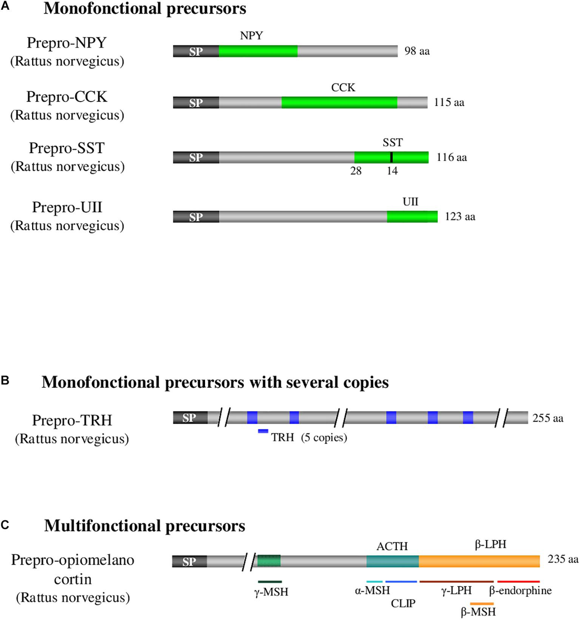 Frontiers | Strategies for the Identification of Bioactive ...