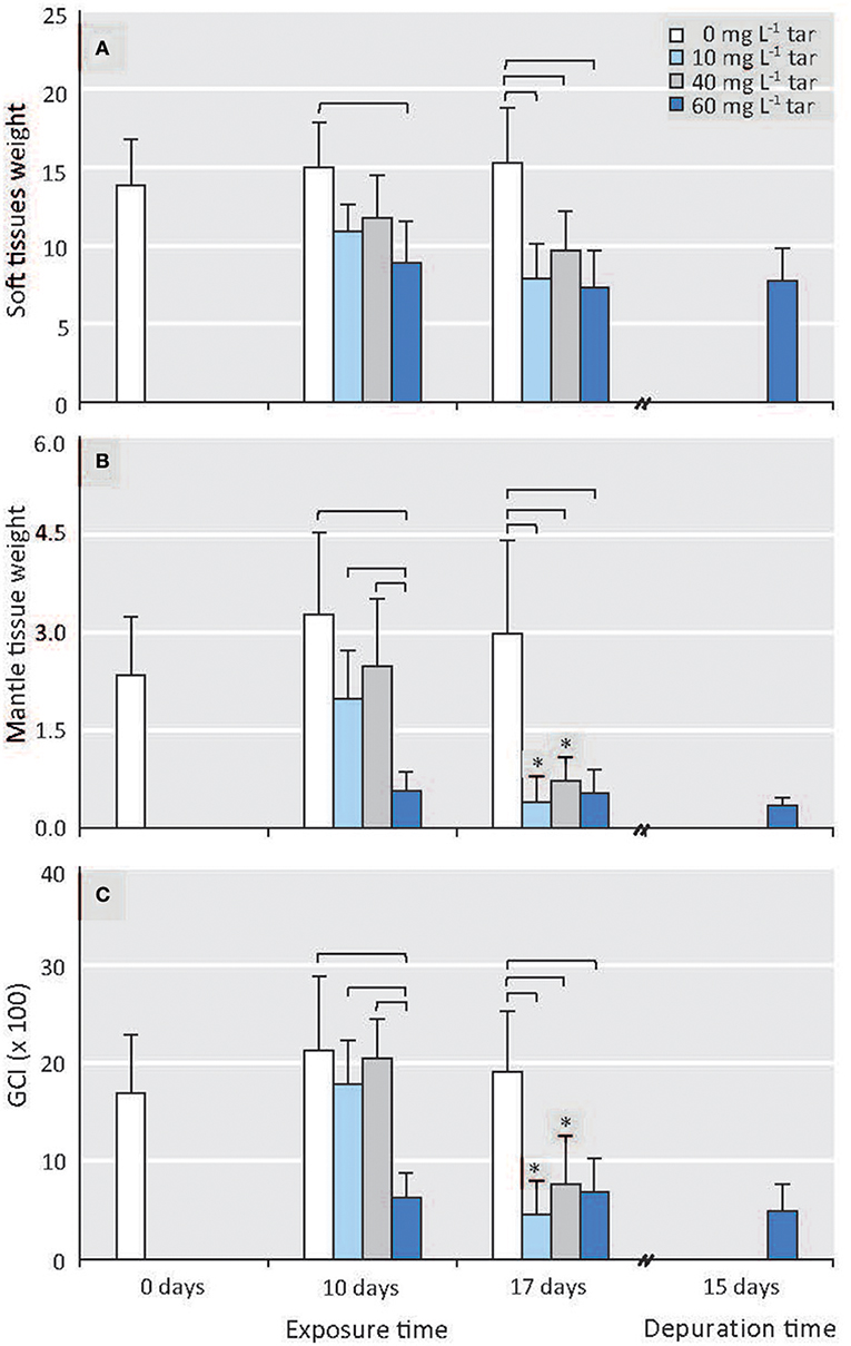 Gonadal Histopathological Disorders in Mytilus galloprovincialis Male  Exposed to Tars Used in Mussel Farms - Frontiers