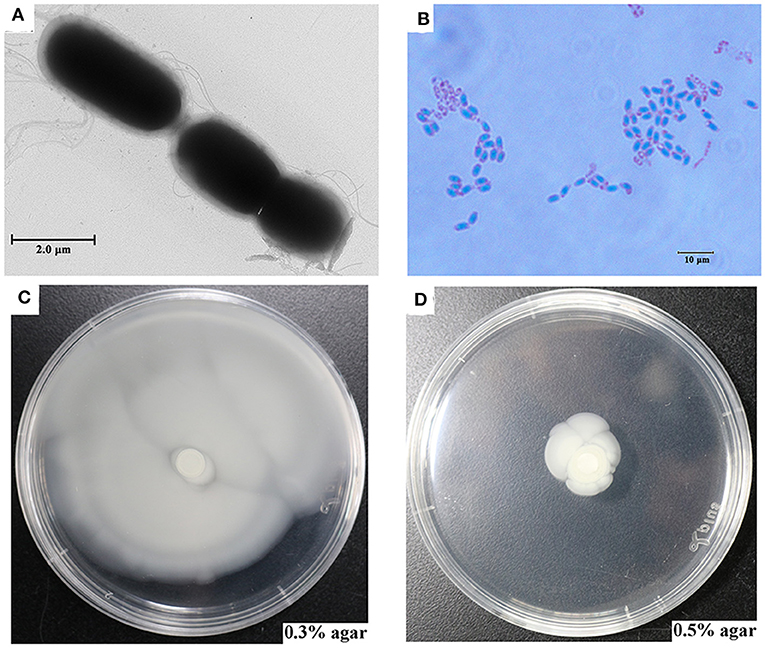 Frontiers | Characterization of the Genome Feature and Toxic