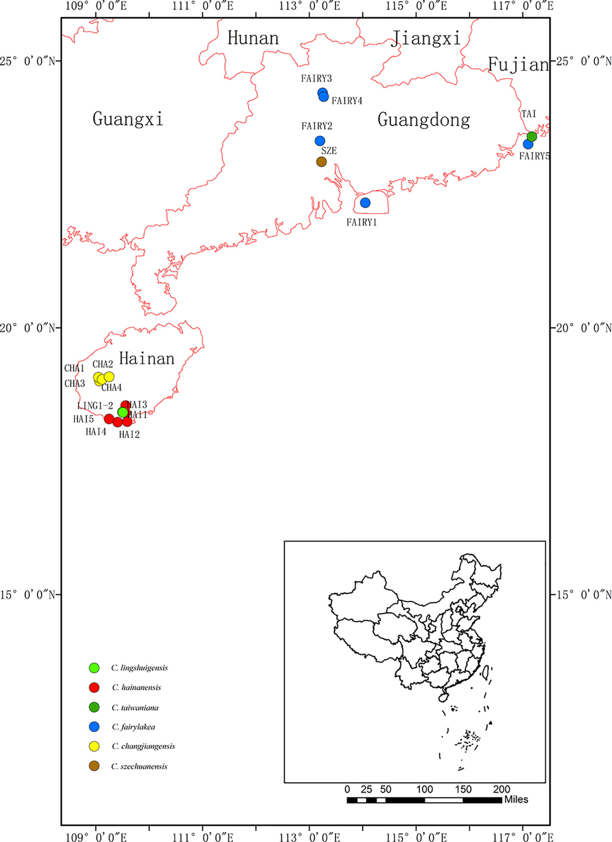 国内発送 fgene-10-01238-g001.jpg その他