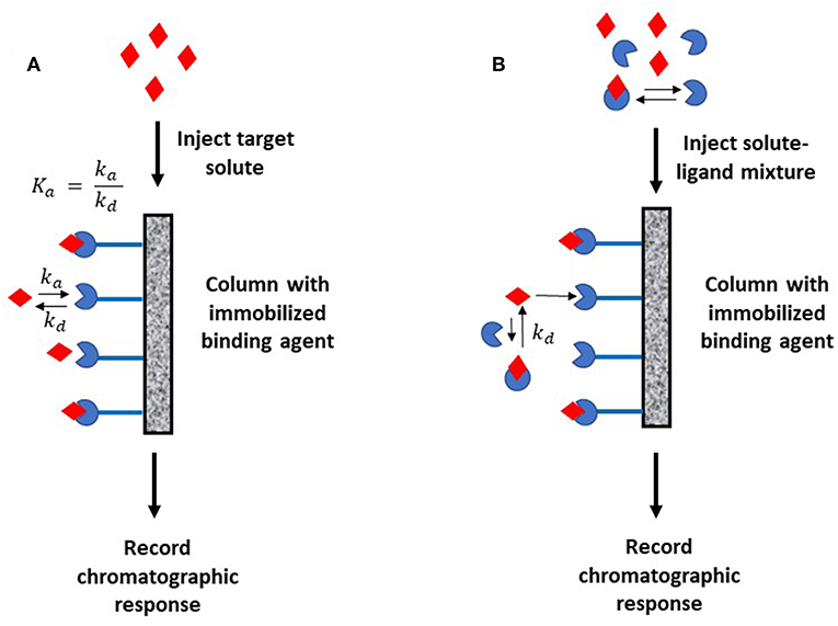 Frontiers Analysis by Affinity Chromatography