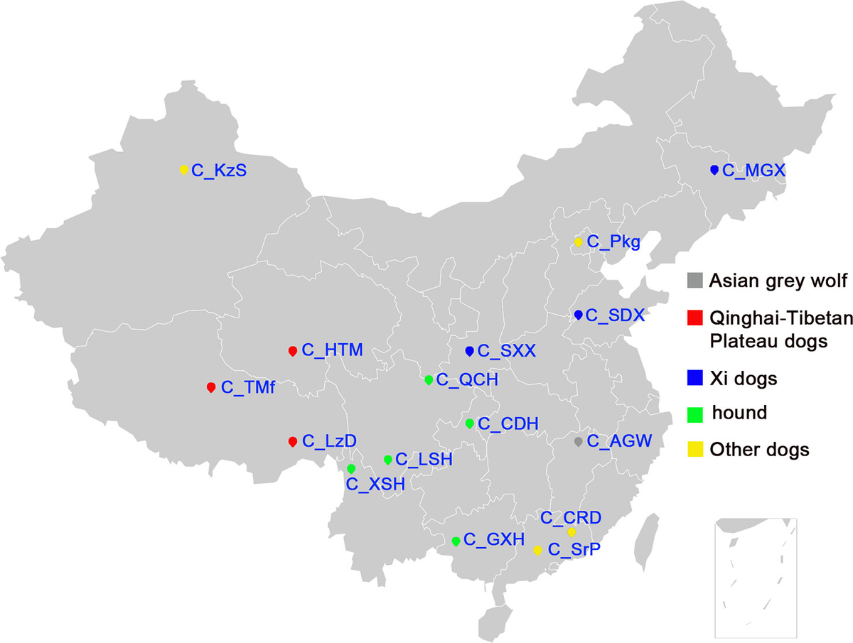 fgene-10-01174-g001.jpg