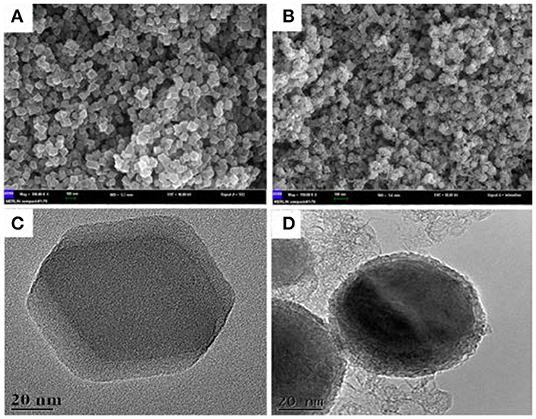 fchem-07-00747-g001.jpg