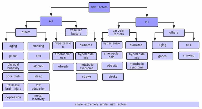 Frontiers | Links Between Adiponectin and Dementia: From Risk Factors ...