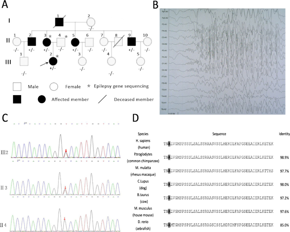 fgene-11-00061-g001.jpg