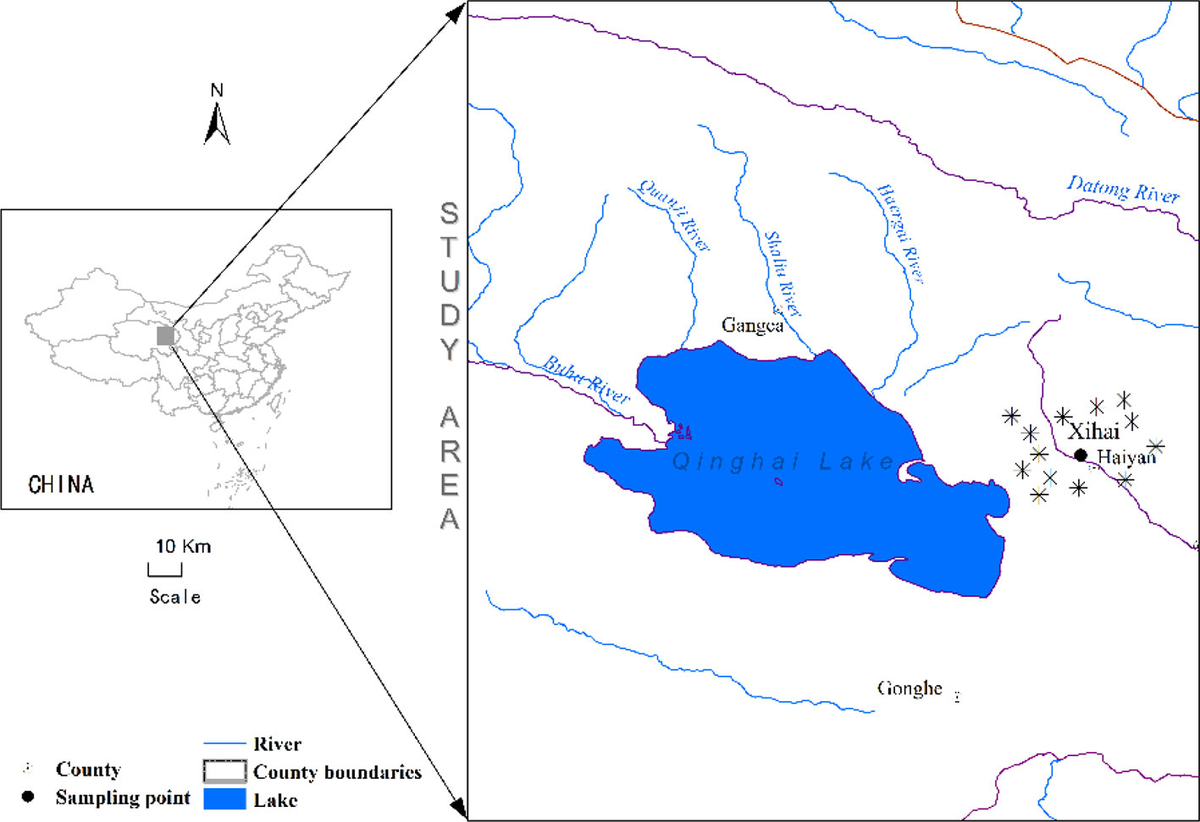 Frontiers | Effects of Warming and N Deposition on the