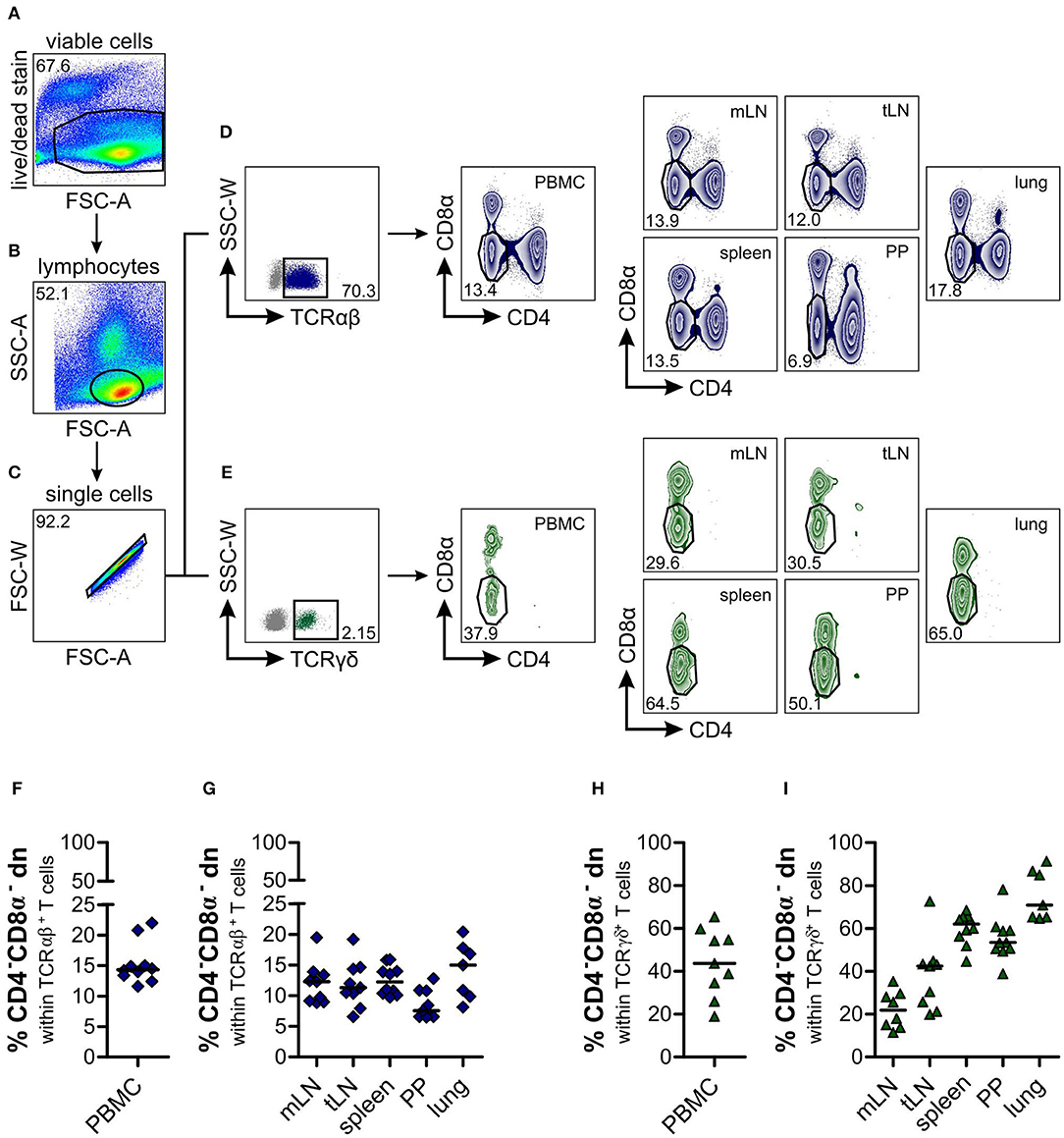 Frontiers | Distinct Features of Canine Non-conventional CD4