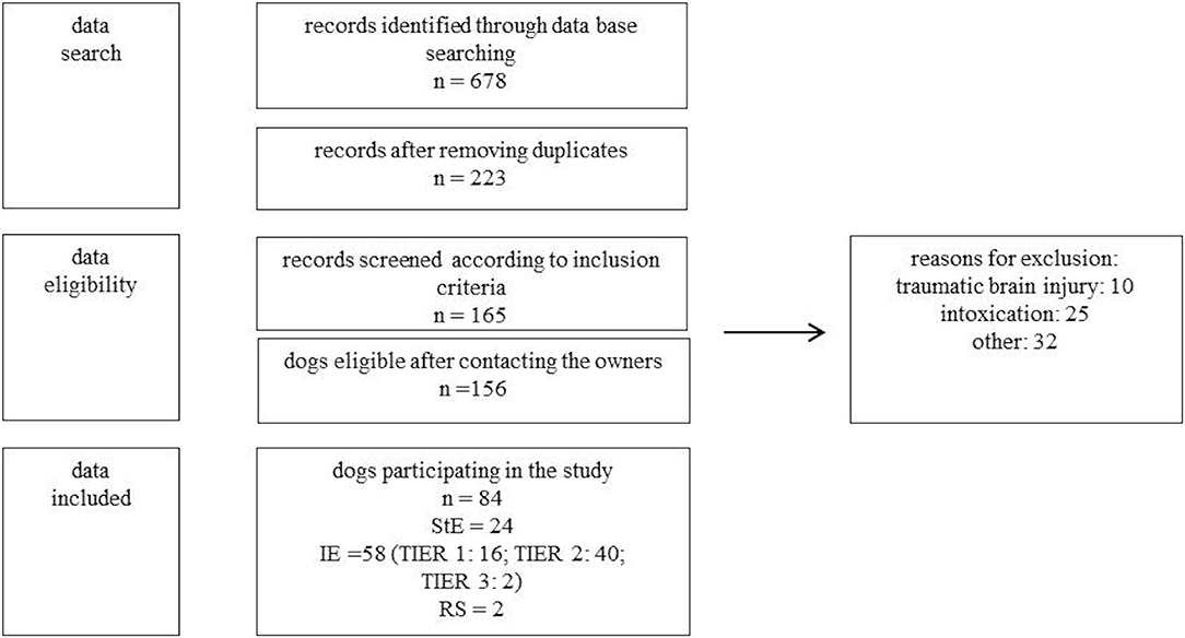 Dog seizure medication levetiracetam sale