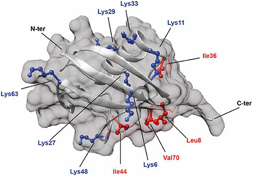 fchem-07-00921-g001.jpg fchem-07-00921-g001.jpg