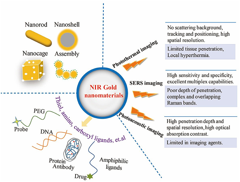 Frontiers | Gold Nanomaterials for Imaging-Guided Near Frontiers | Gold Nanomaterials for Imaging-Guided Near
