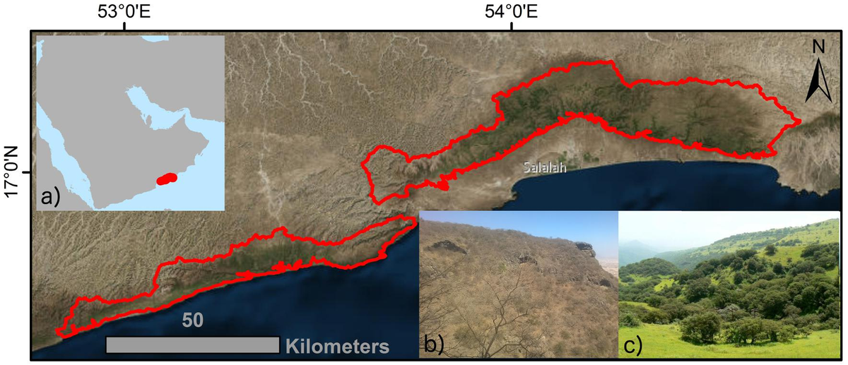 Frontiers Impact of Forest Cover Change on Available Water Resources
