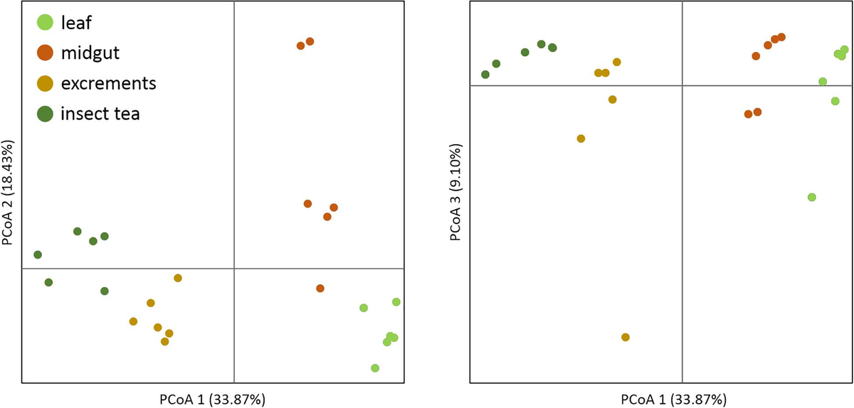 Frontiers | Microbiome-Guided Exploration of the Microbial Assemblage ...