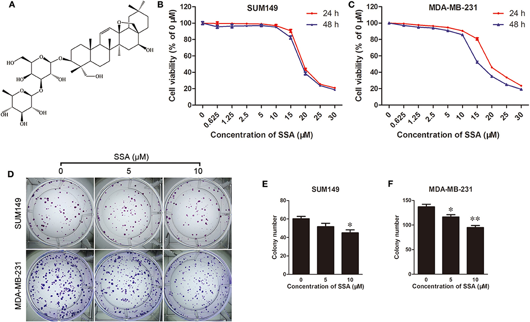 Frontiers | Saikosaponin A Inhibits Triple-Negative Breast