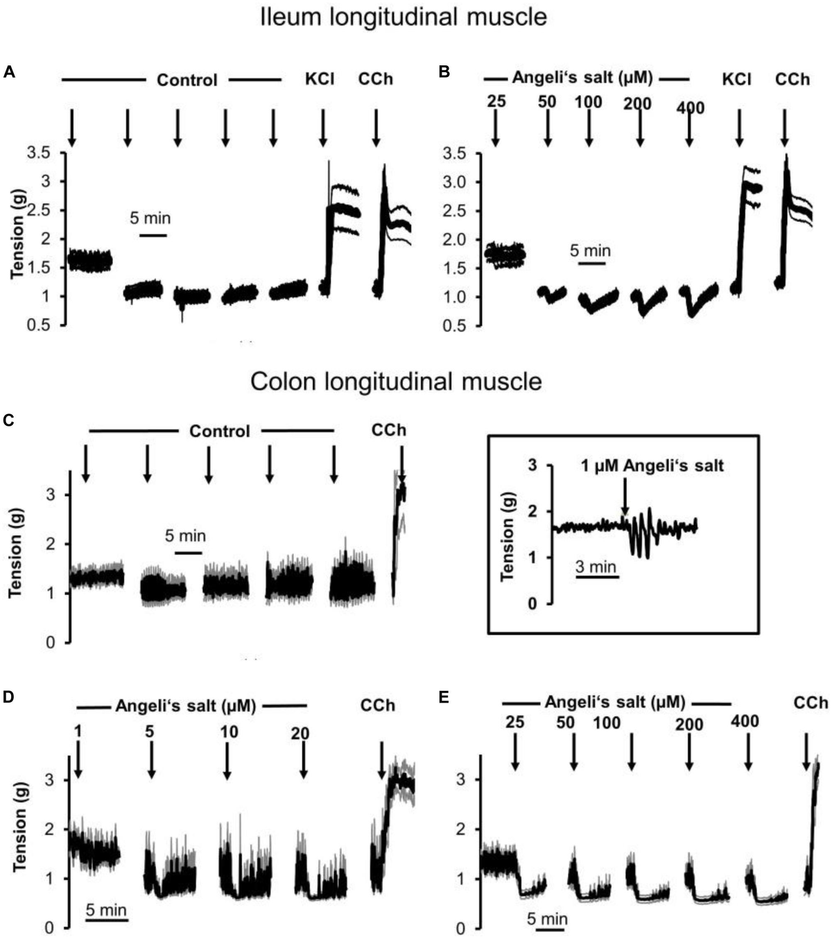 Frontiers | Mechanisms Associated to Nitroxyl (HNO)-Induced