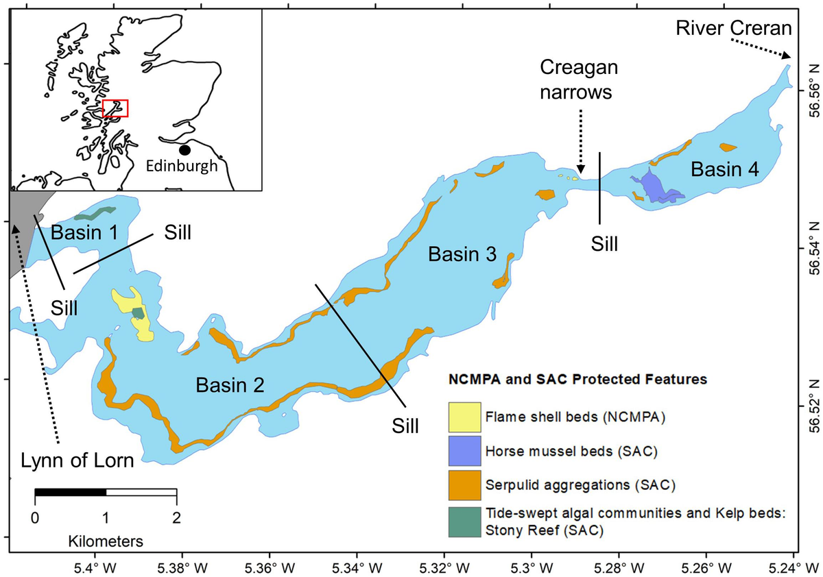 Drainage Reorganization and Intraspecific Genetic Diversity of Riverine  Fish in the Ligurian Alps and Northern Apennines - Vance - 2025 - Journal  of Geophysical Research: Earth Surface - Wiley Online Library, image size:1200x842
