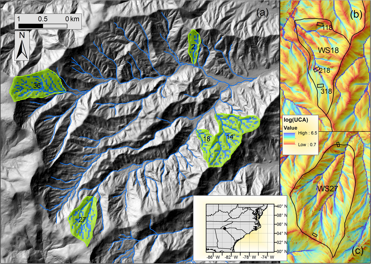 Sugar Maple II | Panolam Surface Systems