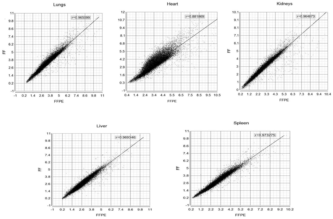 Frontiers | Extensive Changes in Transcriptomic “Fingerprints” and ...