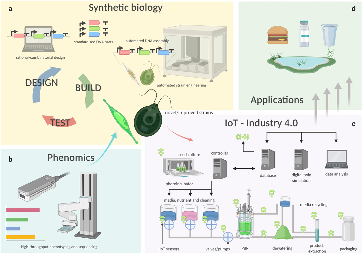 Synthetic applications. Synthetic applications