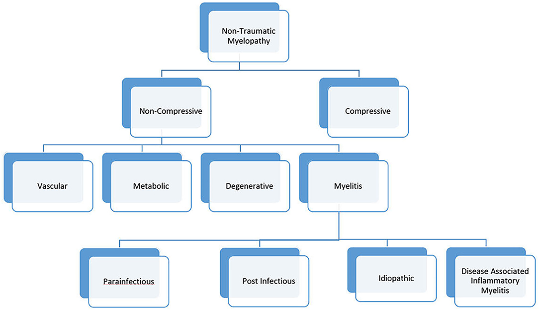 Frontiers Revisiting Transverse Myelitis: Moving Toward a New Frontiers Revisiting Transverse Myelitis: Moving Toward a New