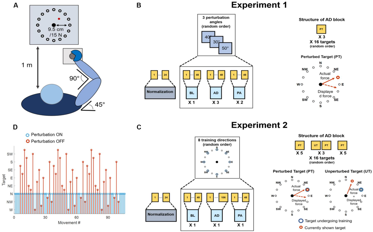 Frontiers | Characterization of the Adaptation to Visuomotor