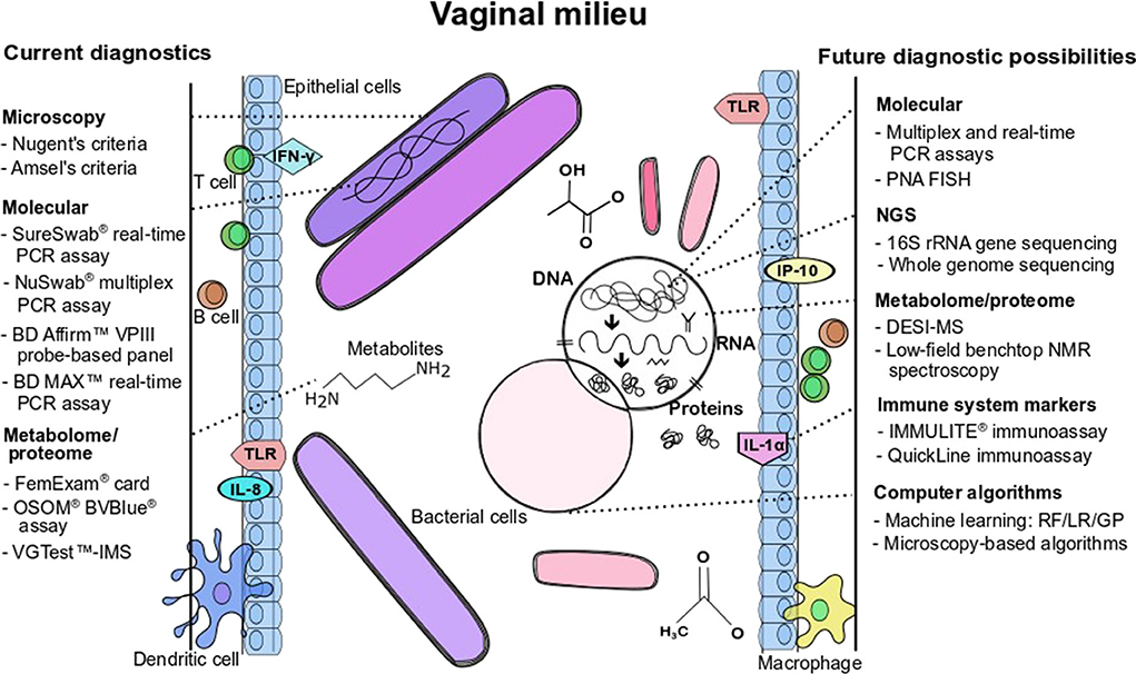 Желідегі секс туралы фильм