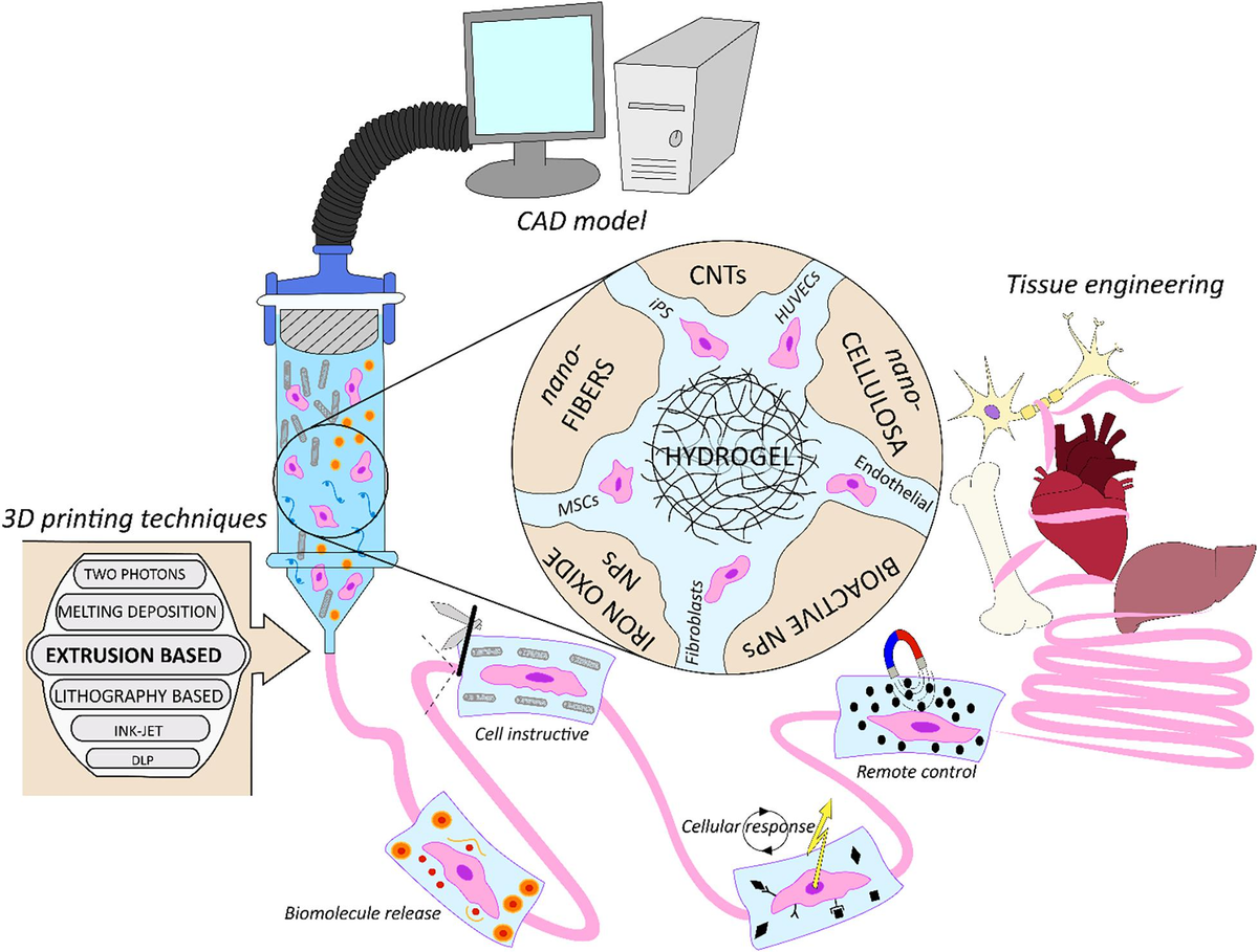 人気絶頂 Convergence Bio-Fabrication: | Frontiers of Bioprinting 3D アニメ