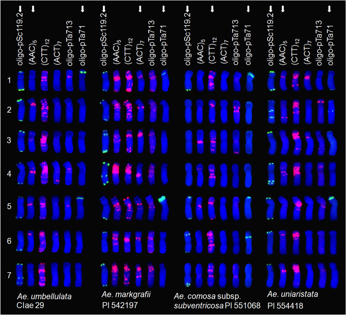 人気の雑貨がズラリ！ Frontiers | in Diversity Genomic Structural of Analysis リール