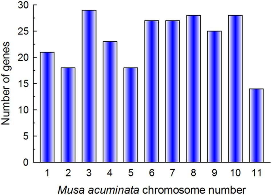 Frontiers | Genome-Wide Analysis of Basic Helix-Loop-Helix