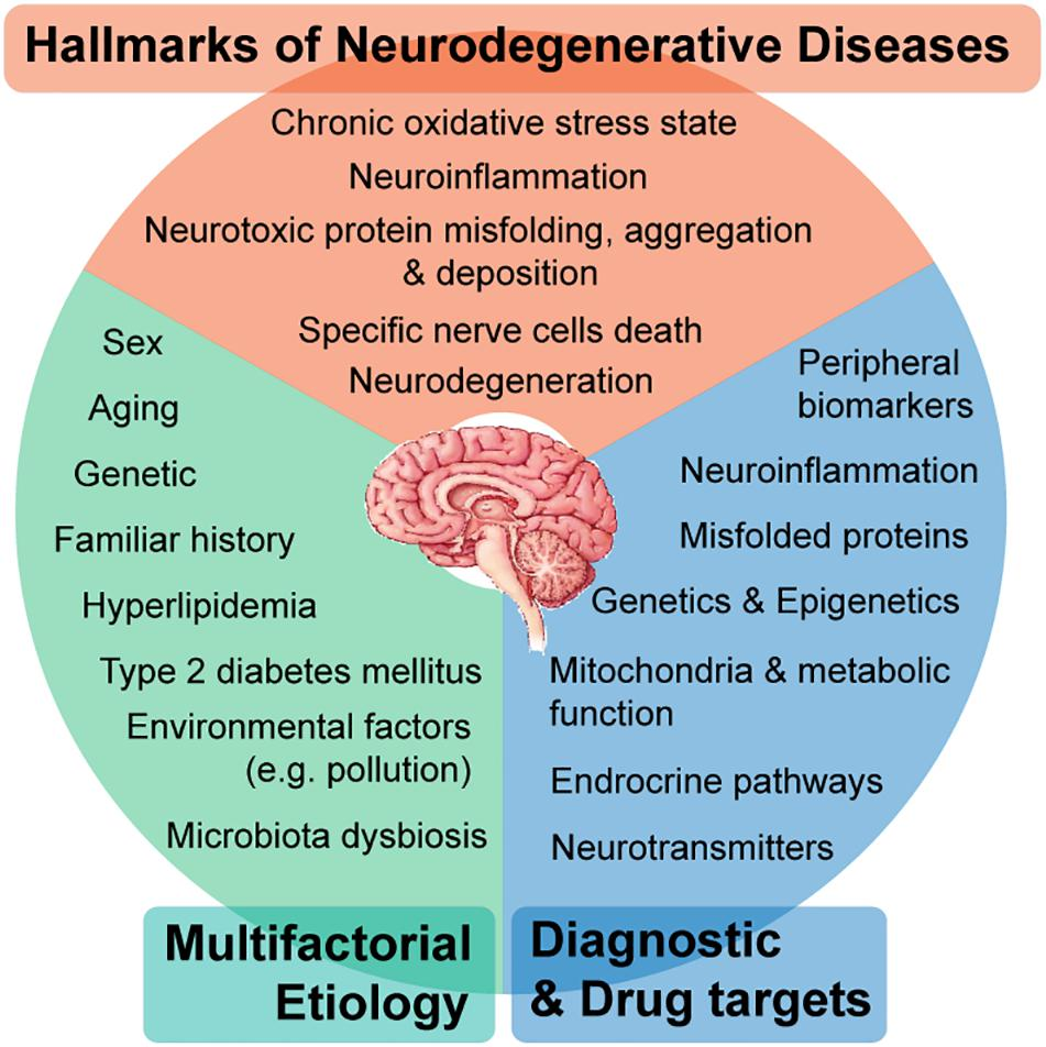 Frontiers | Systems Biology Approaches to Understand the