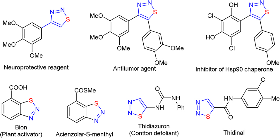 【数量限定】 Frontiers N of Transformation I2/DMSO-Catalyzed | メイク道具・化粧小物