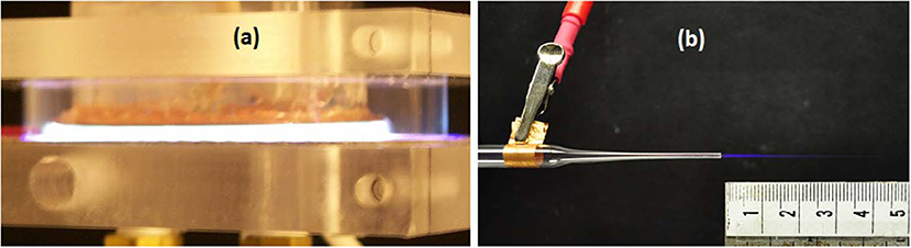 Frontiers | Cold Plasma in Medicine and Healthcare: The New