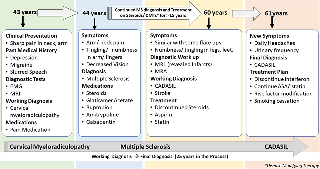 Frontiers | CADASIL vs. Multiple Sclerosis: Is It