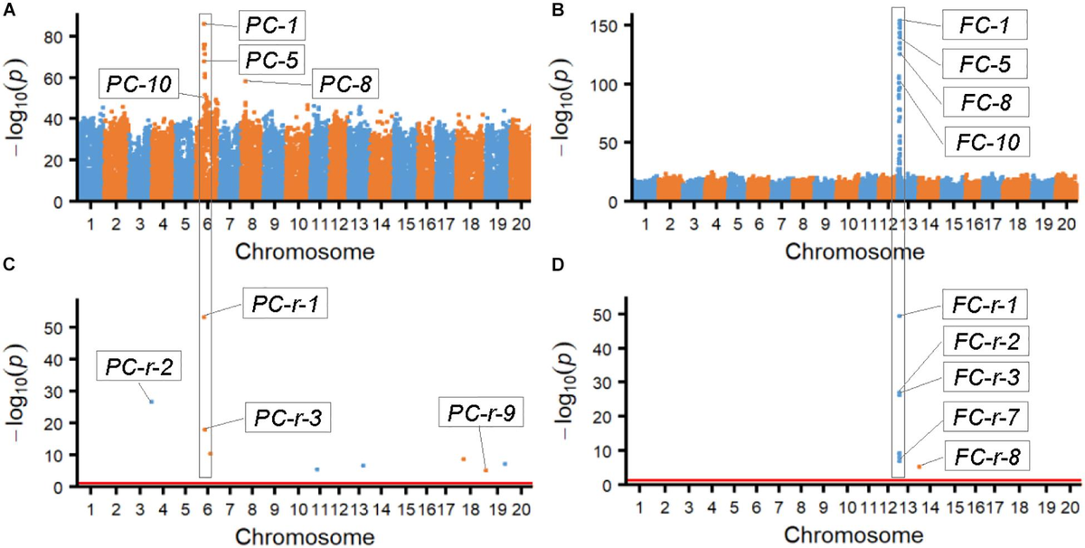 メジャー Achieving excellent strength plasticity matching in low-cost